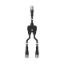 CSB-M12415M1241